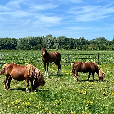 De Polderhoeve Bed & Breakfast 3*